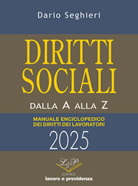dirsoc2025_p