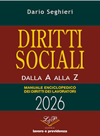 dirsoc2026_p